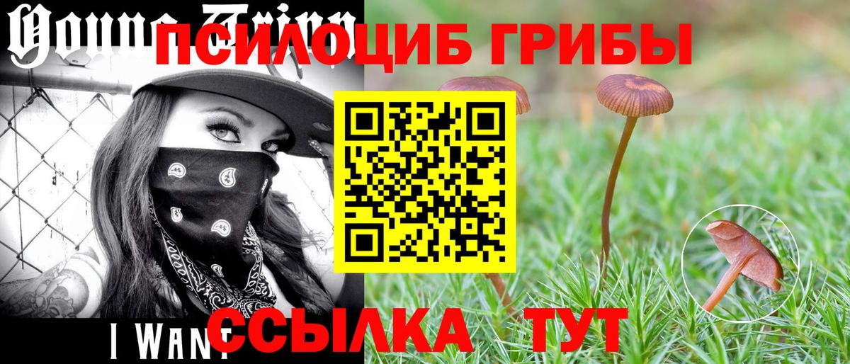 Псилоцибиновые грибы GOLDEN TEACHER Черкесск