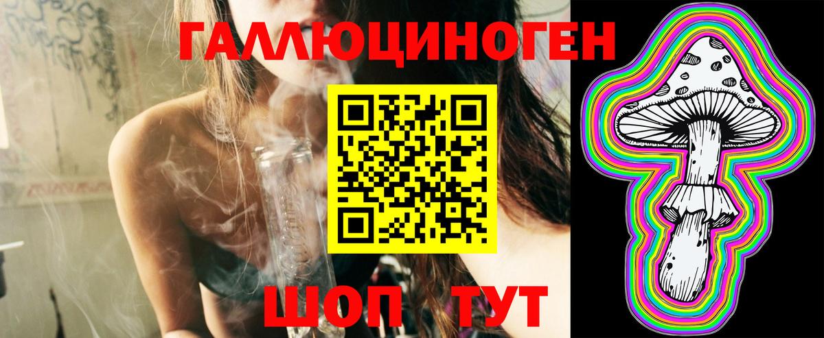 Черкесск  Галлюциногенные грибы Psilocybine cubensis  Вход с VPN 